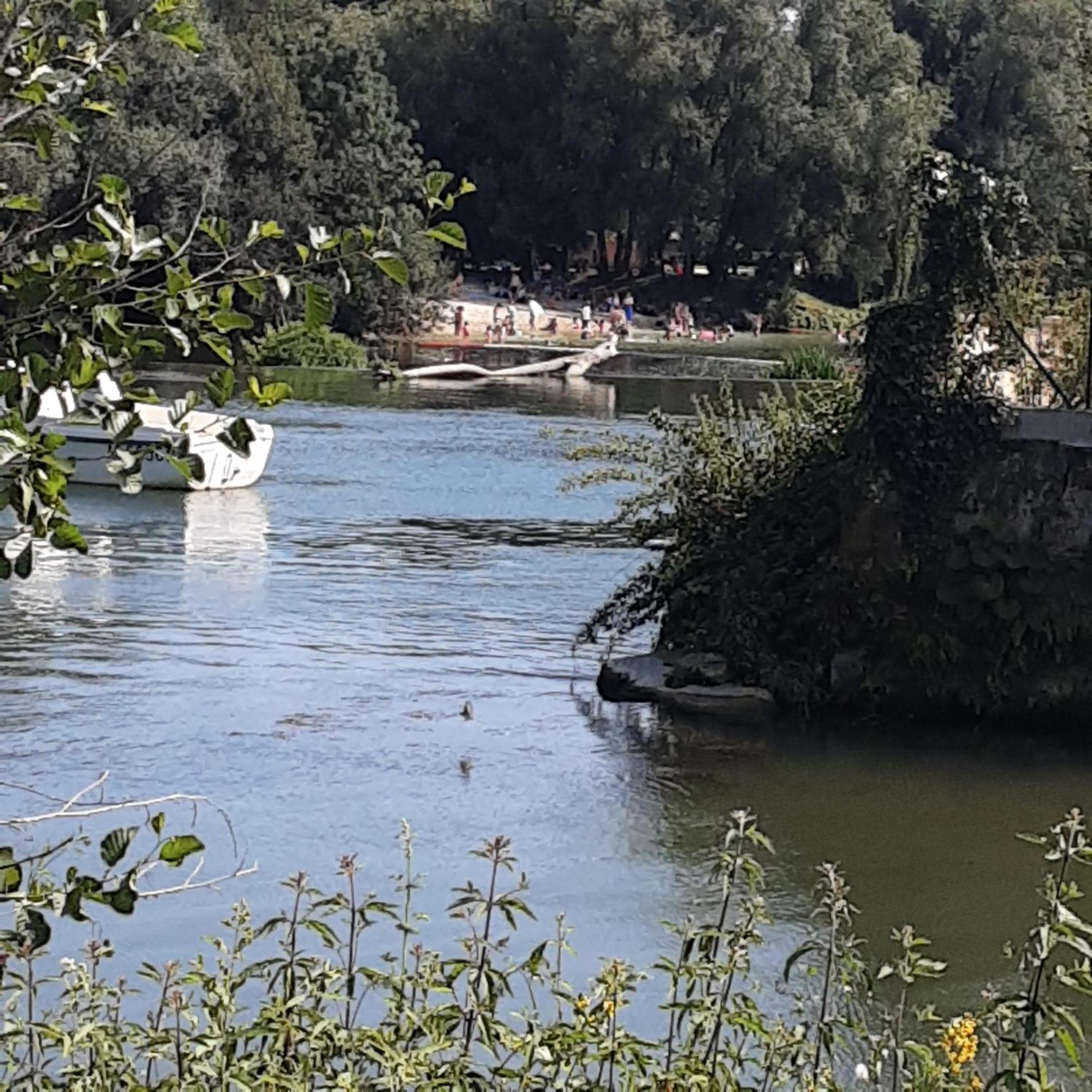 דירות Châteauneuf-sur-Charente Annexe Du Pont De La Charente מראה חיצוני תמונה