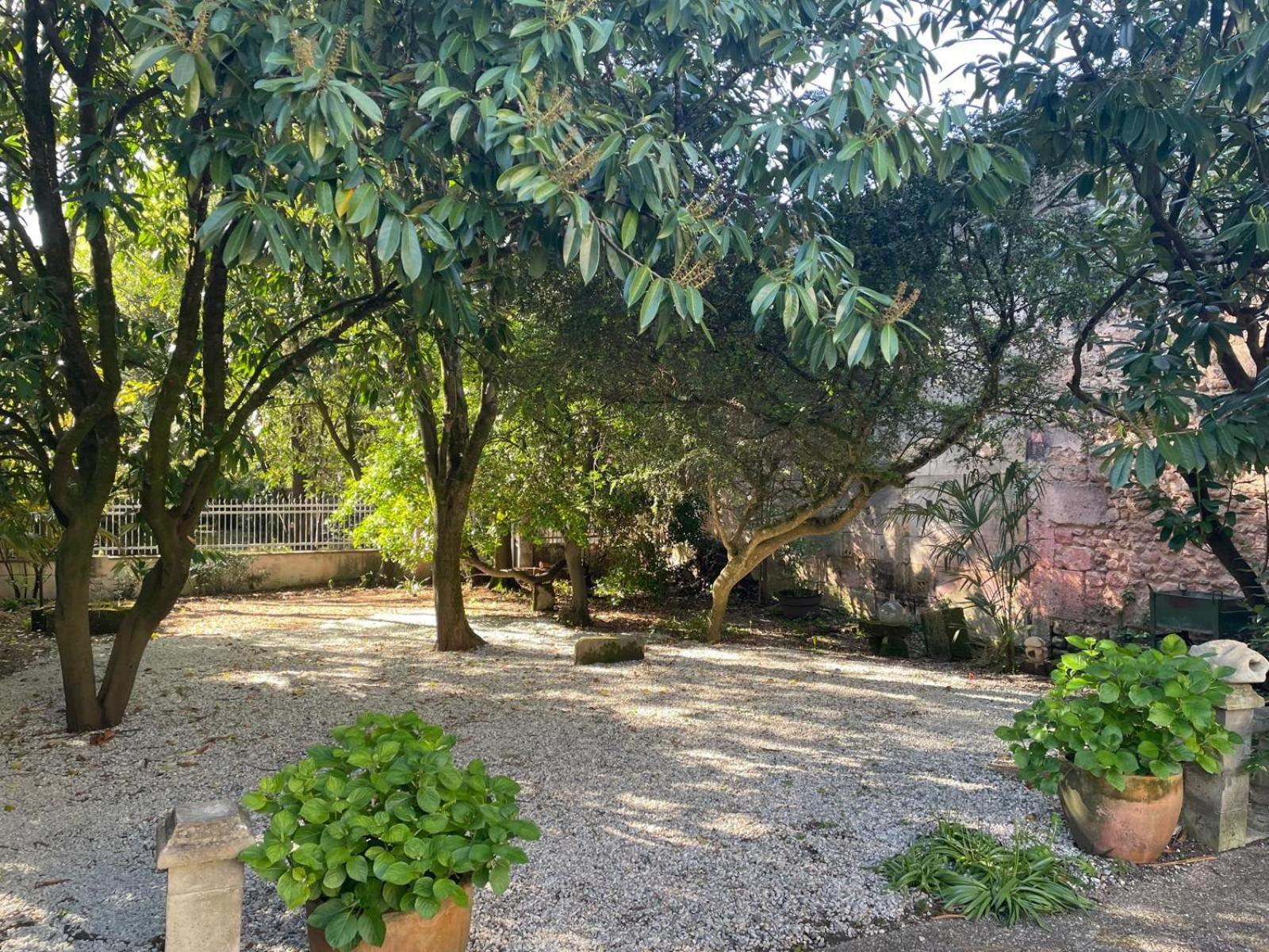 דירות Châteauneuf-sur-Charente Annexe Du Pont De La Charente מראה חיצוני תמונה