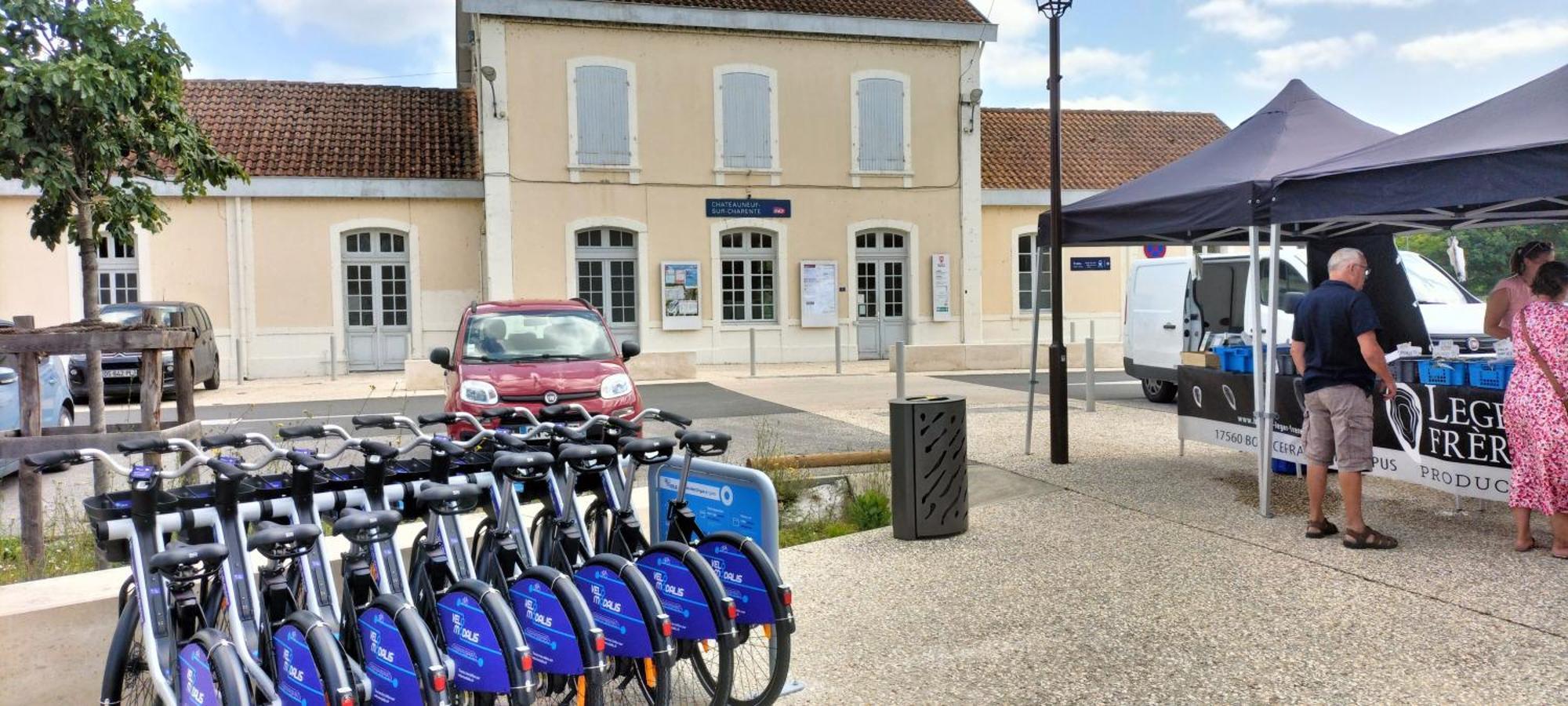 דירות Châteauneuf-sur-Charente Annexe Du Pont De La Charente מראה חיצוני תמונה